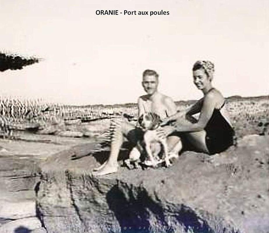 Oran- SDV- 5000- Port aux poules 1951.jpg